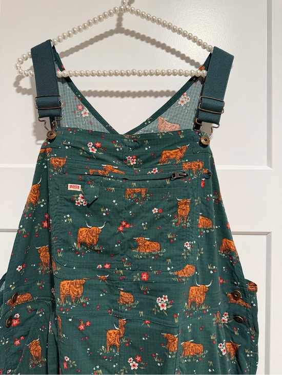 Duluth Trading Co Pants - Duluth Trading Co Green Floral & Highland Cow women’s Overalls